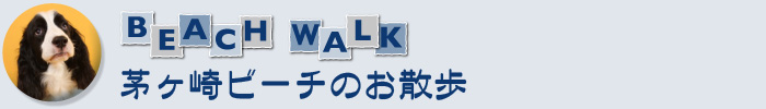 茅ヶ崎ビーチのお散歩